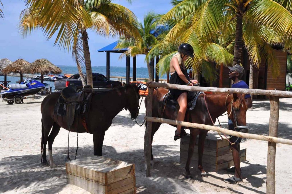 Slots Roatan Horseback Riding + Sloths & Monkeys Sightseeing Tour in Roatan